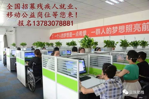 數字賦能，共創未來 電子商務為殘疾人群體帶來的新機遇與信息咨詢服務支持